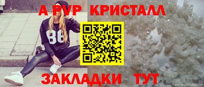 ешки Ярославль