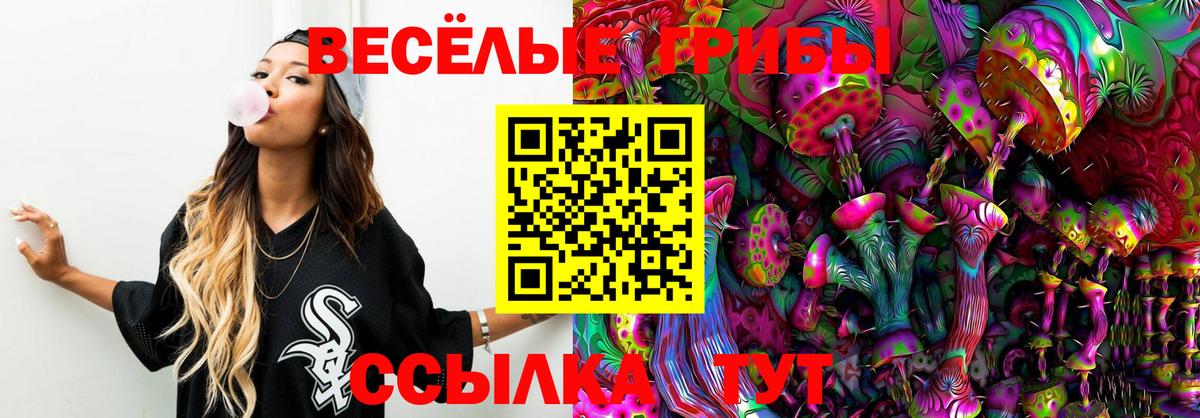 Галлюциногенные грибы Psilocybe  Галлюциногенные грибы Psilocybe  Вход с VPN  Лобня 