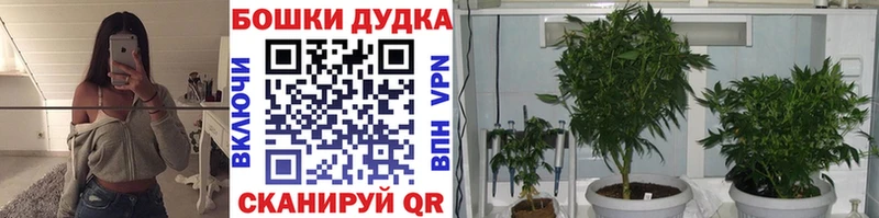 Бошки марихуана семена  ОМГ ОМГ зеркало  Лобня  даркнет сайт 